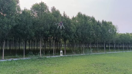 需要原文时请核对应栏目发布页